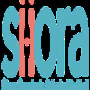 Siora Surgicals Pvt Ltd. Siora Surgicals Pvt Ltd.